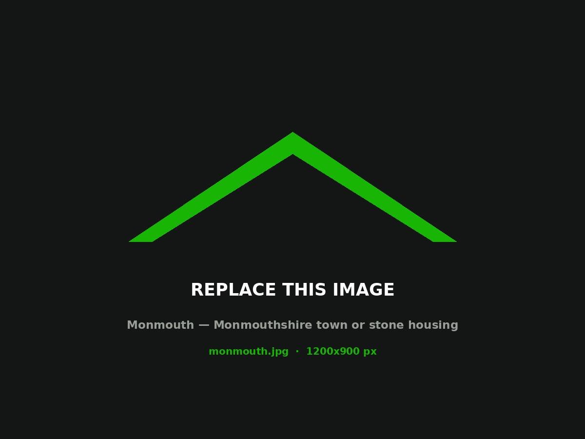 Stone and rendered housing in a Monmouthshire town